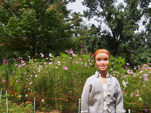 niji-20140915-03s.jpg