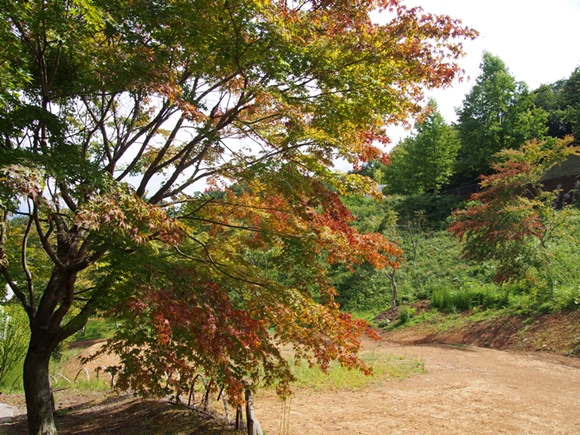 niji-20140915-06s.jpg
