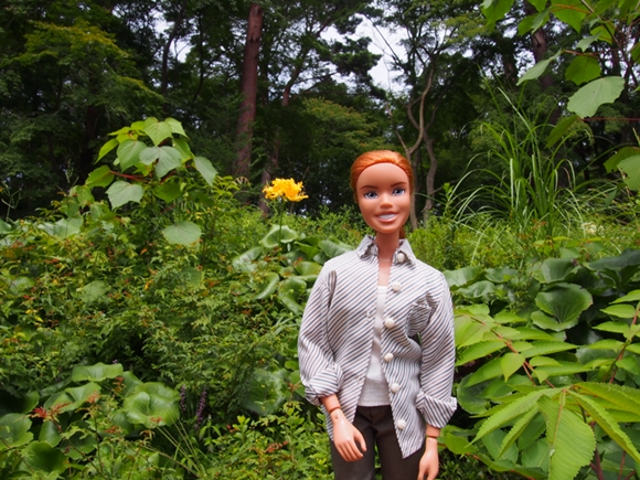 niji-20140915-10s.jpg