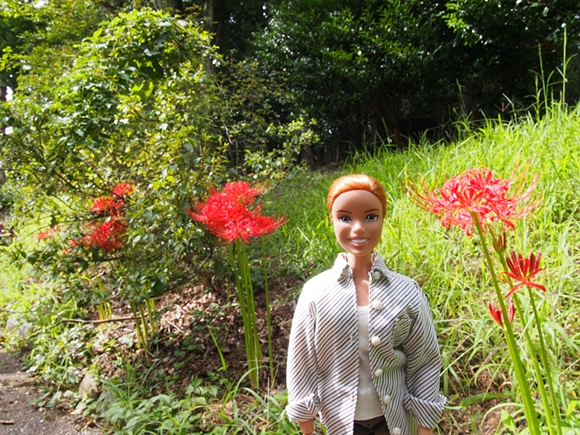 niji-20140915-15s.jpg