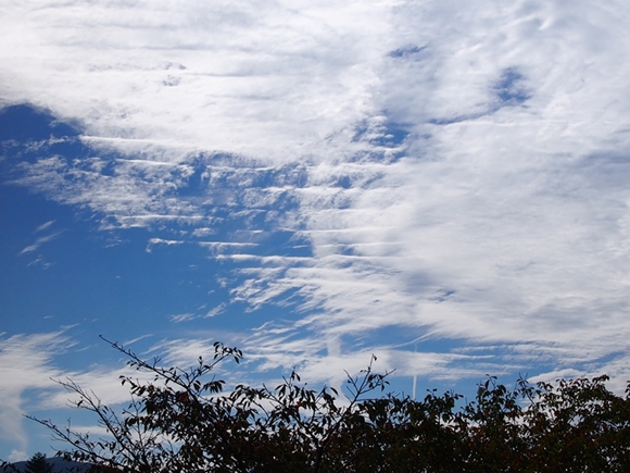 niji-20140915-23s.jpg