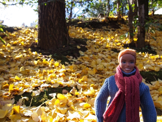 suruga-20131201-05s.jpg