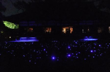 2012_05080353.jpg