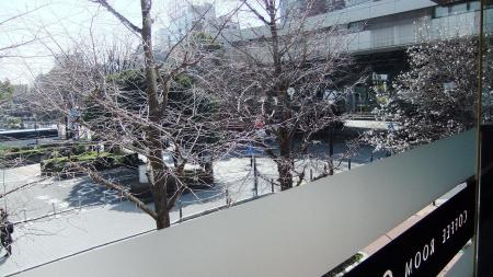 2013_03090022.jpg