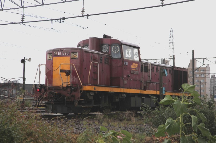 DE101720IMG_9361-2.jpg