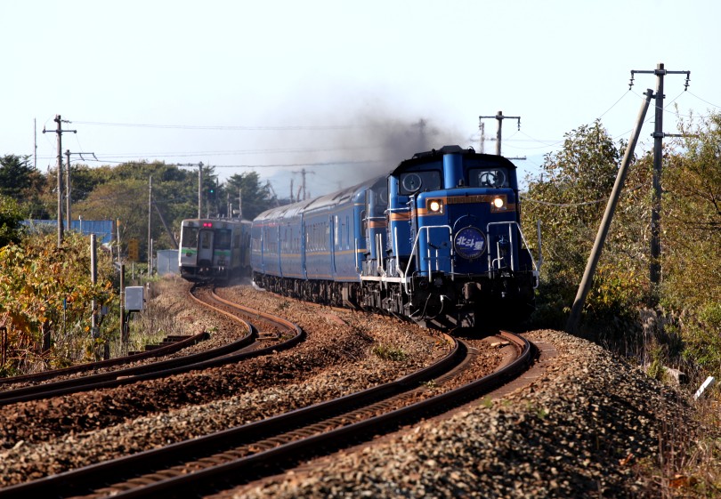 tosei1142IMG_9064-2.jpg