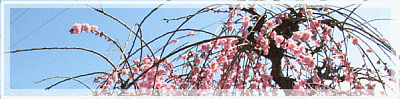 chou-ume-line-anime.gif