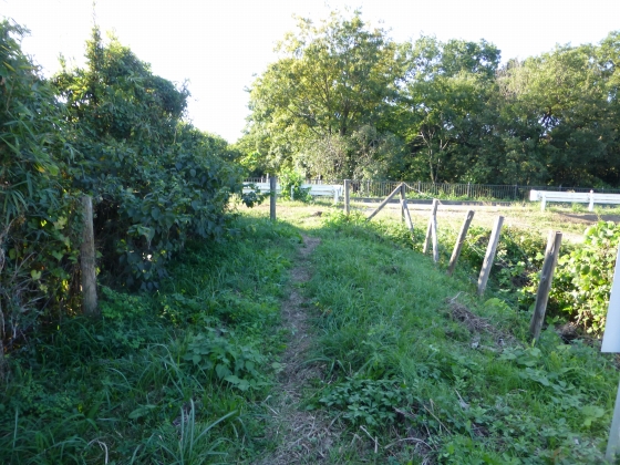 P1060875.jpg