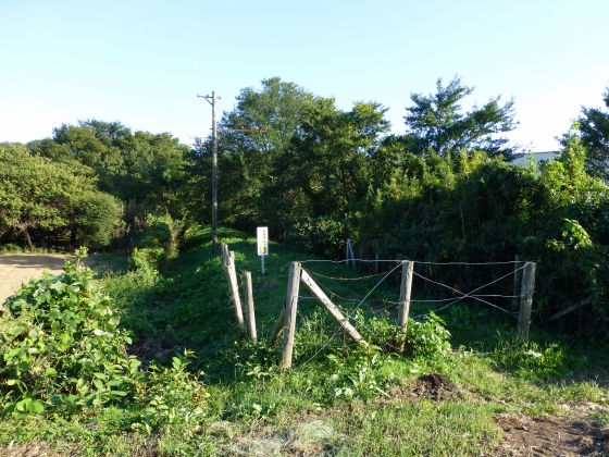 P1060876.jpg