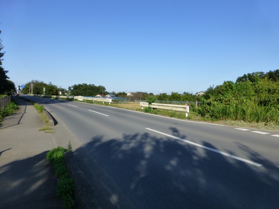P1060882.jpg
