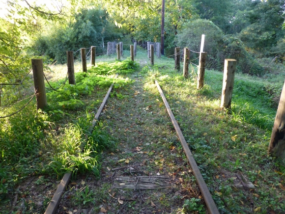 P1060936.jpg