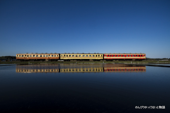 のんびりゆっくりほっと物語 水面を走る ひたちなか海浜鉄道 中根近郊