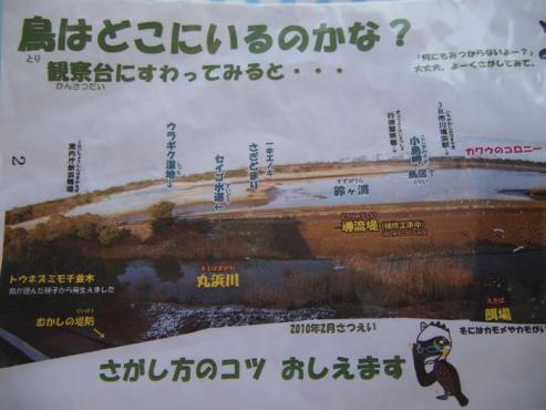 PA290092_convert_20111101212400.jpg