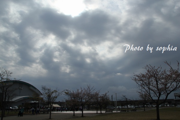 20130428マラソン1