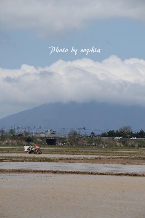20130428マラソン7