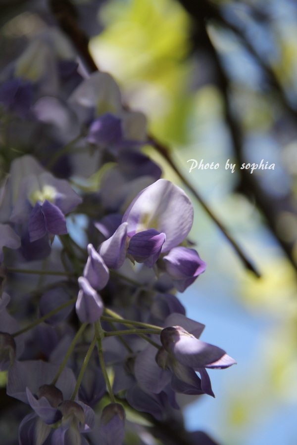 IMG_8952201305122.jpg