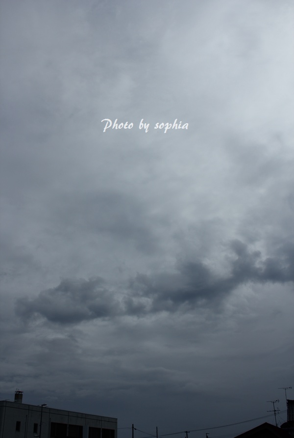 IMG_954220130529.jpg