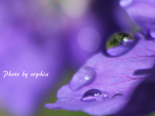 IMG_957920130531.jpg