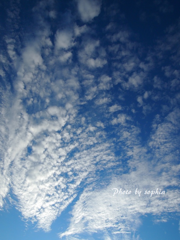 夕方の空