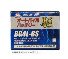 BG4L-BS s