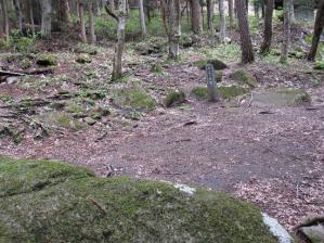 IMG_0964 s