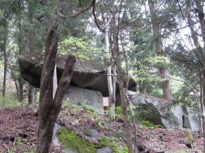 IMG_0965 s
