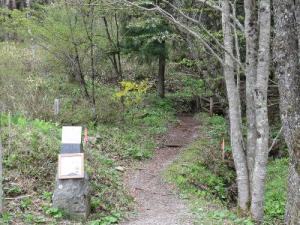 IMG_1008 s