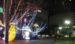IMG_7290.jpg