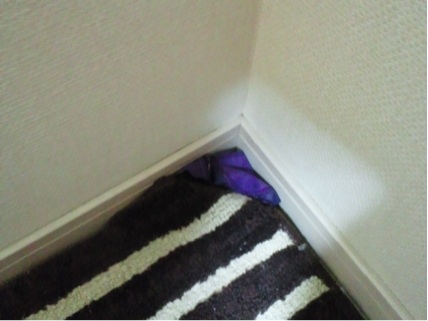 ロックの趣味