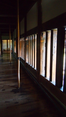 P1010412a.jpg