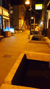 P1010491a.jpg