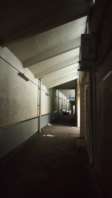 P1011195a.jpg