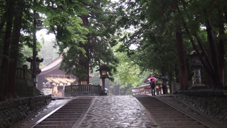 P1011204a.jpg