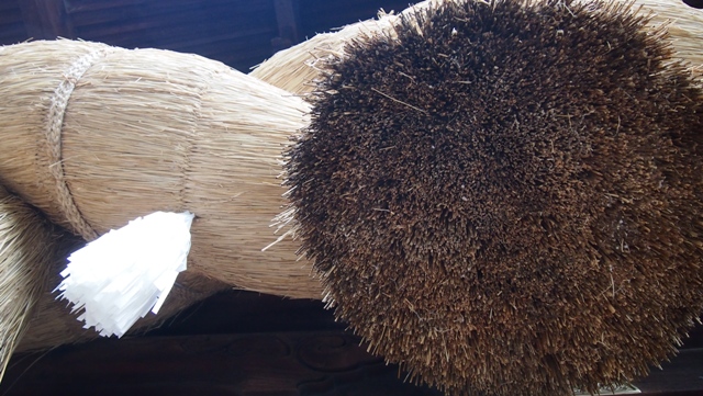 P1011208a.jpg