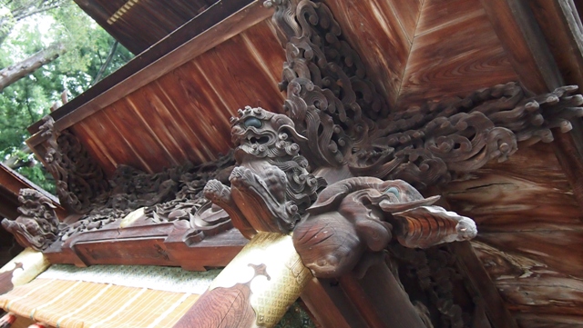 P1011231a.jpg
