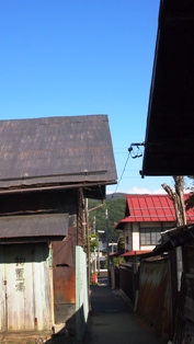 P5010039a.jpg