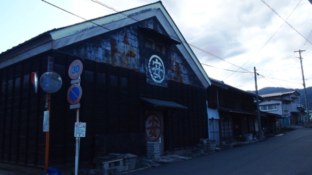 P5010075a.jpg