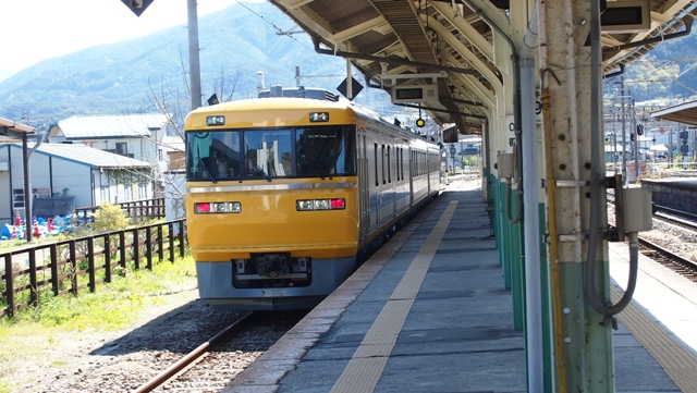 P5070158a.jpg