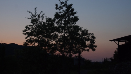 P5120319a.jpg