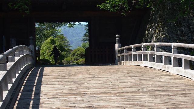 P5310948a.jpg