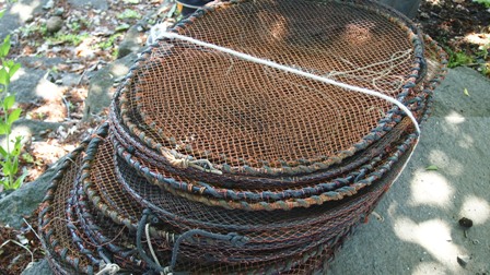 P5310955a.jpg