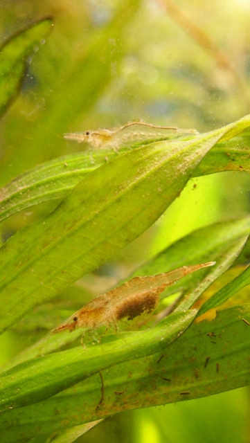 P5310990a.jpg