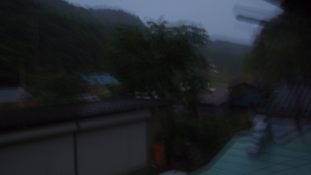 P6111059a.jpg
