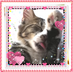IMG_0228.png