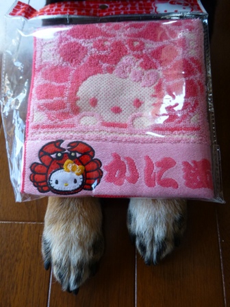 かに道楽キティ6