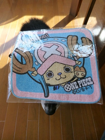 チョッパーミニタオル2
