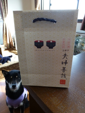 夫婦善哉12