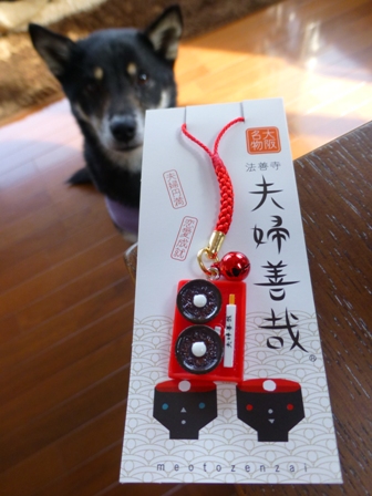 夫婦善哉15