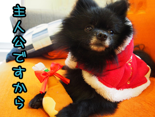 syujinkounosantadesu.jpg