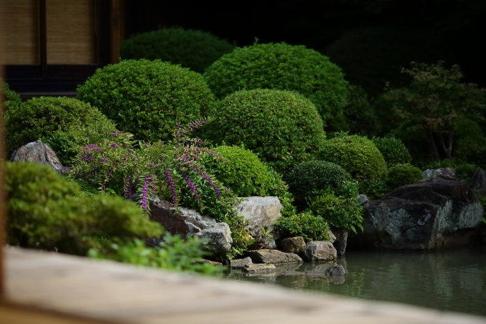 DPP_32080.jpg